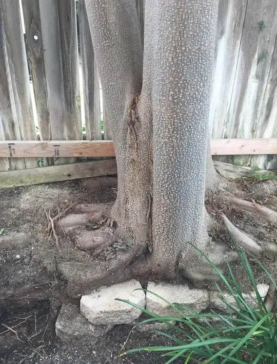 Partial tree including base