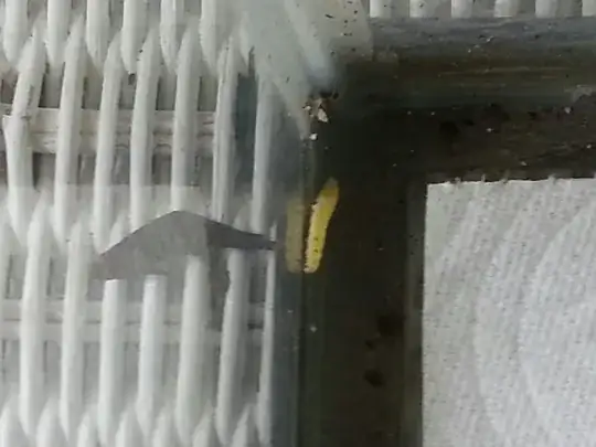 Caterpillar