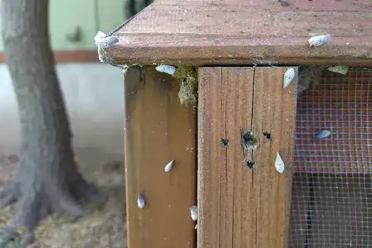 insect angle 2