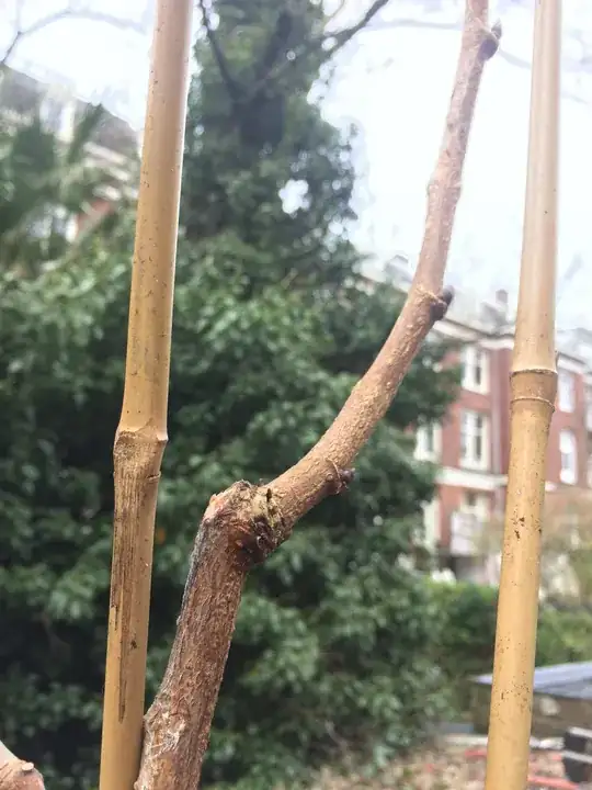 fullzoom