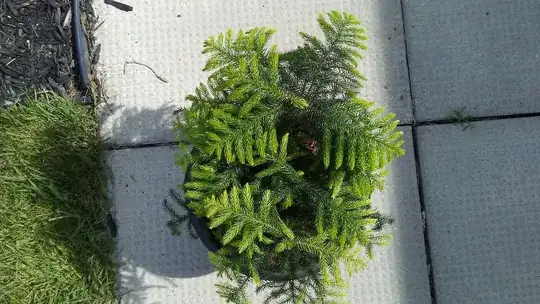 Top view