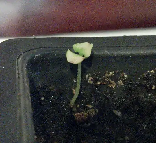 The plant in question