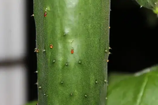 Very close up