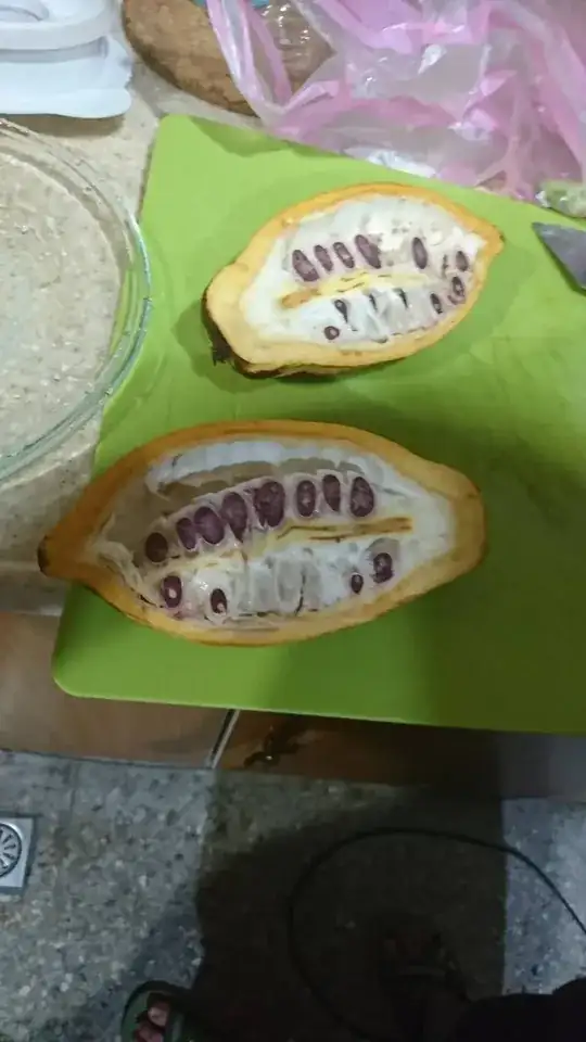 a picture of an unknown fruit 1