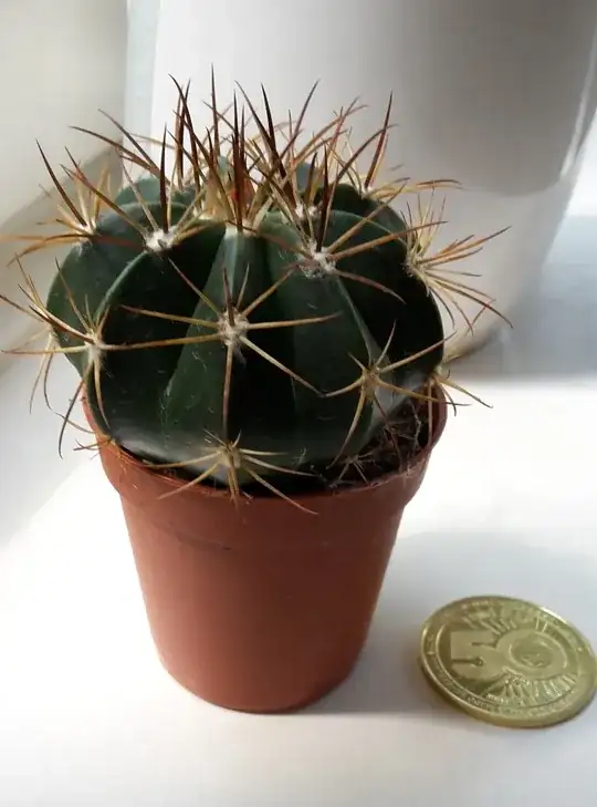 catus