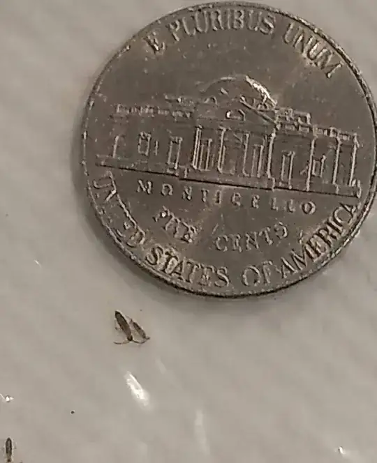 nickel for scale