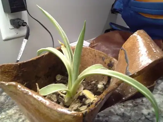 plant3