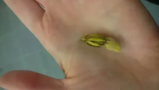 fallen off fruit