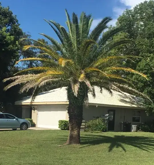 yard photo