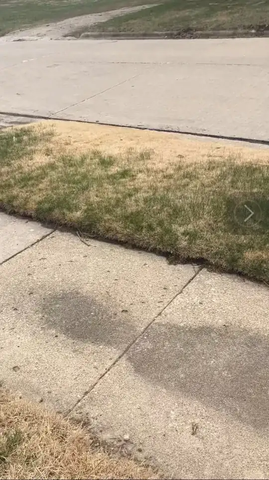 lawn