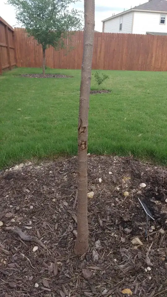 Zoom Out