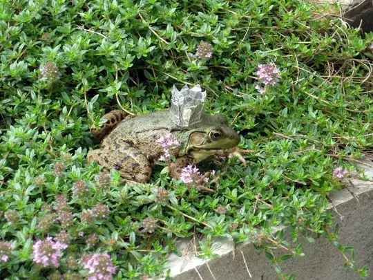 King of Frogs