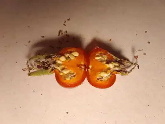 inside view of fruit