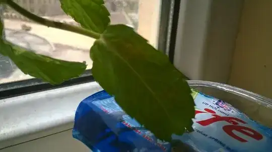 Light green/black/brown spot near the center of the leaf.
