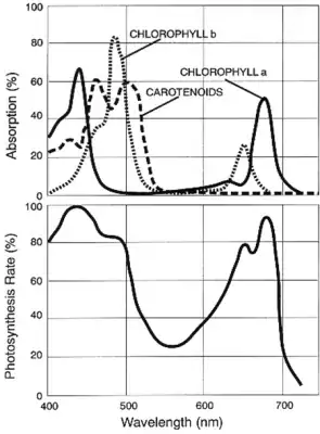 Active radiation