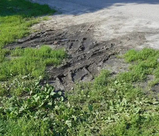 lawn damaged by wheels