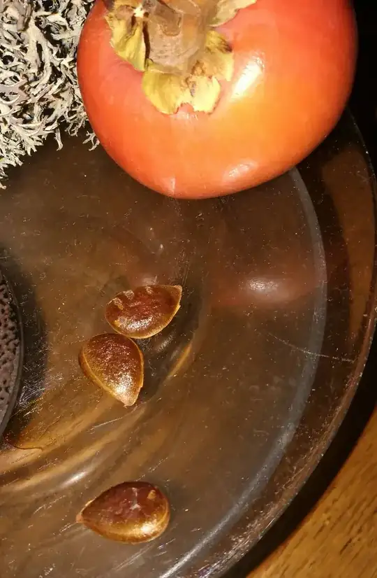 kaki Fuyu seeds