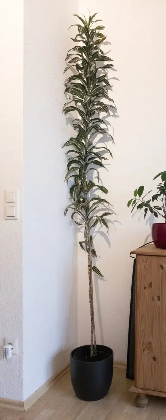 full height