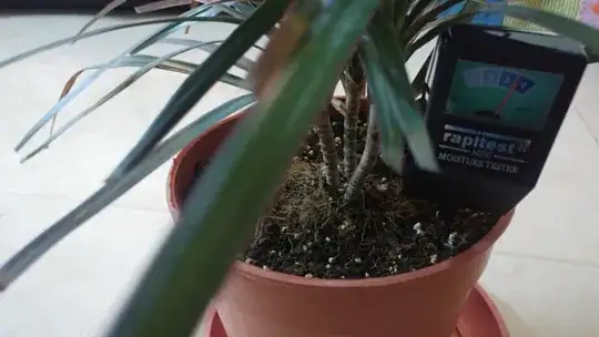 Plant base with moisture tester