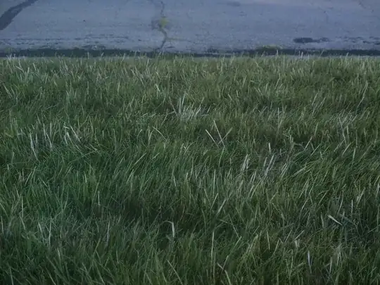 Quackgrass