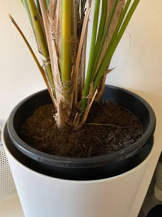 soil