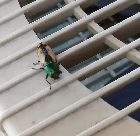 Long beetle with green head and tan wings with a black splotch down the middle