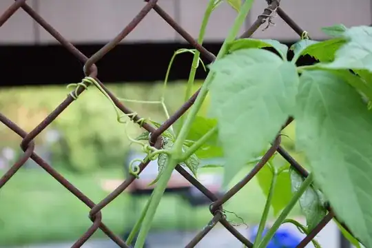 Climbing up fence