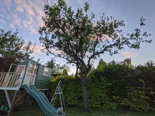 Tree overview
