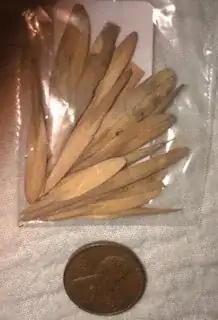 seeds