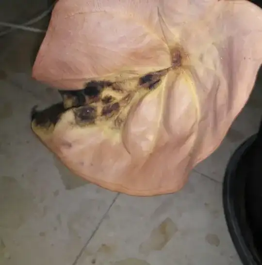 black-spots-2