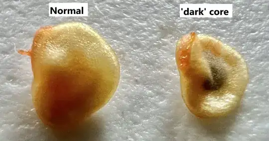 Left seed is like the majority harvested from the fruit; right seed appears less convex, and has a 'dark' core