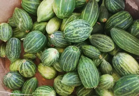 Box of the fruits
