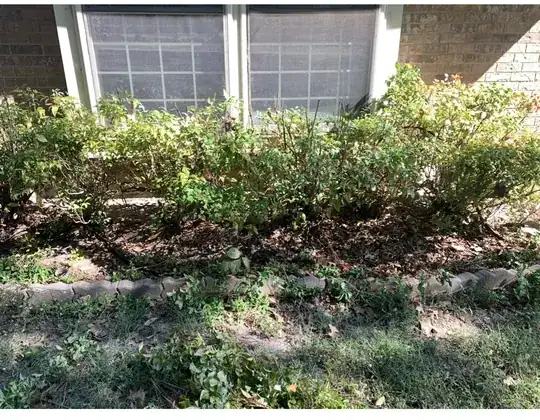 pic1