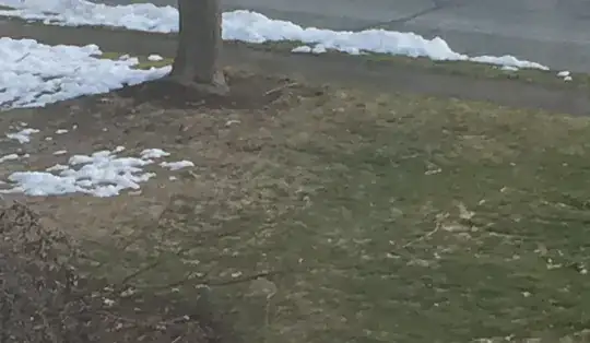 patchy lawn