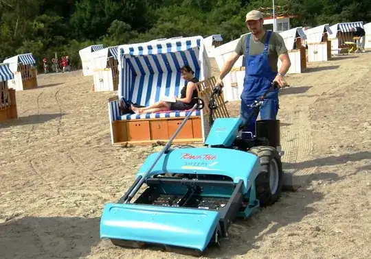 Small Beach Comber