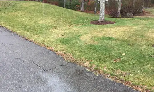 lawn