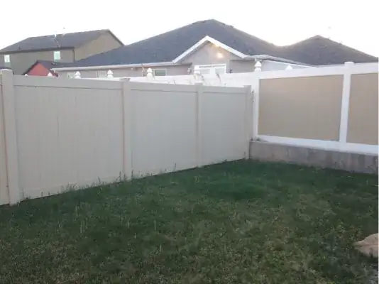 phragmites in lawn