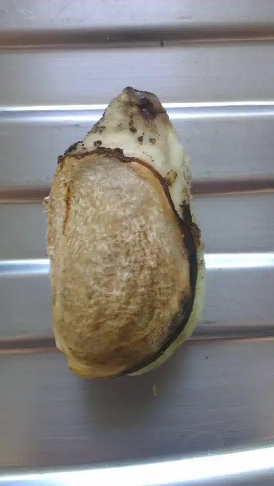 Mango Seed Photo