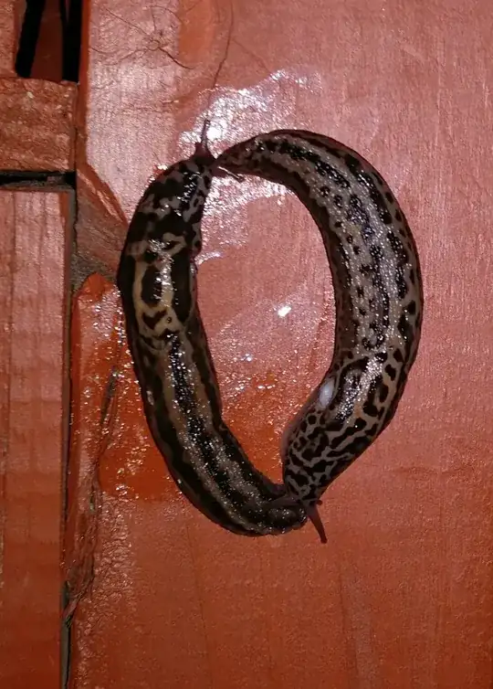 slug-like creature