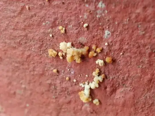 Zoomed-in 2