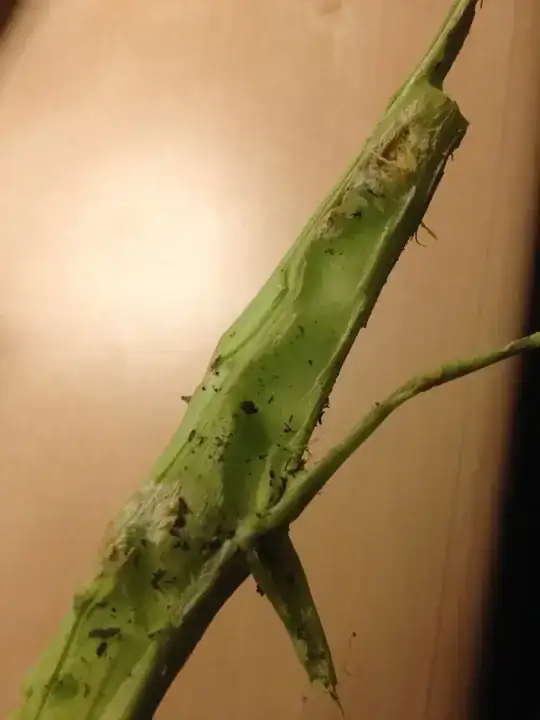 detail of broccoli stem damage