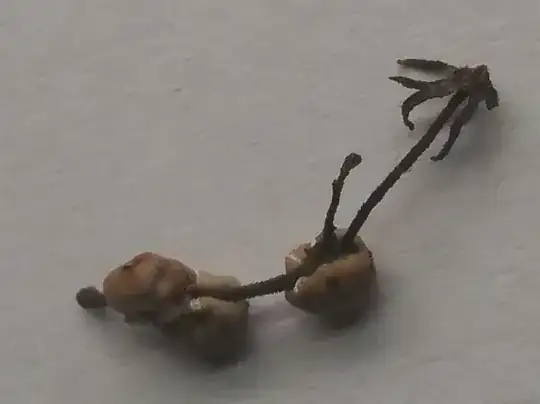 I took some smaller ones attached to a loose twig