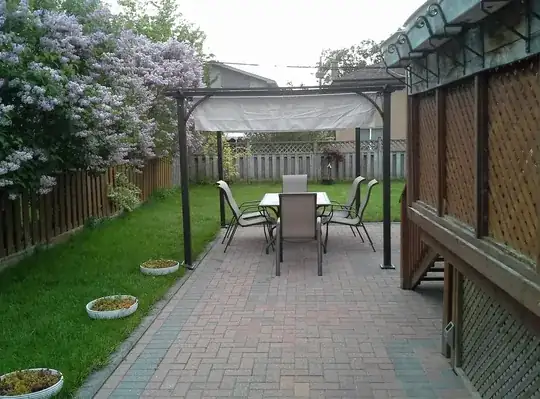 garden as it is now