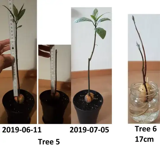 Trees 5, 6