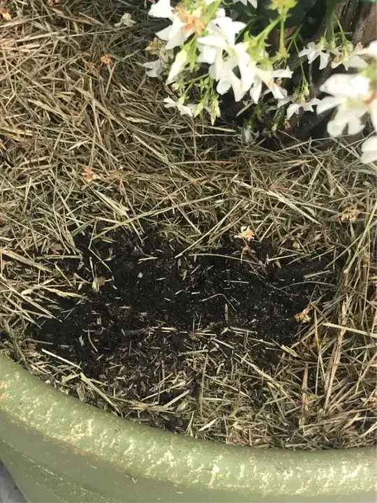 moist soil