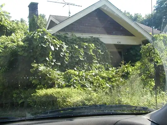 House overgrown by vine with large heart-shaped leaves