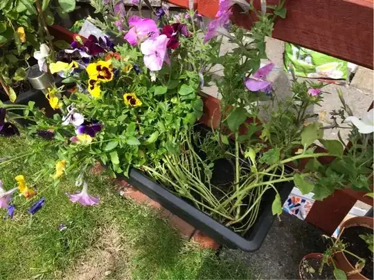 flower trough 1