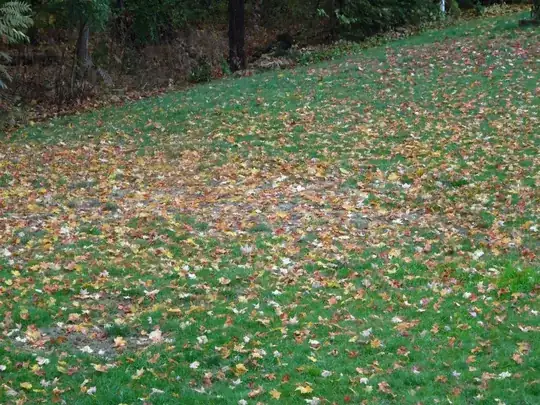 Another browning leave