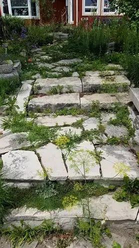 weedy steps