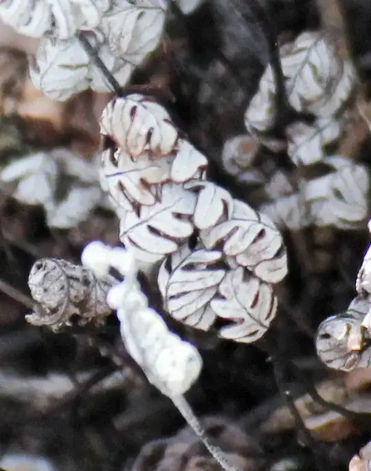 detail 1